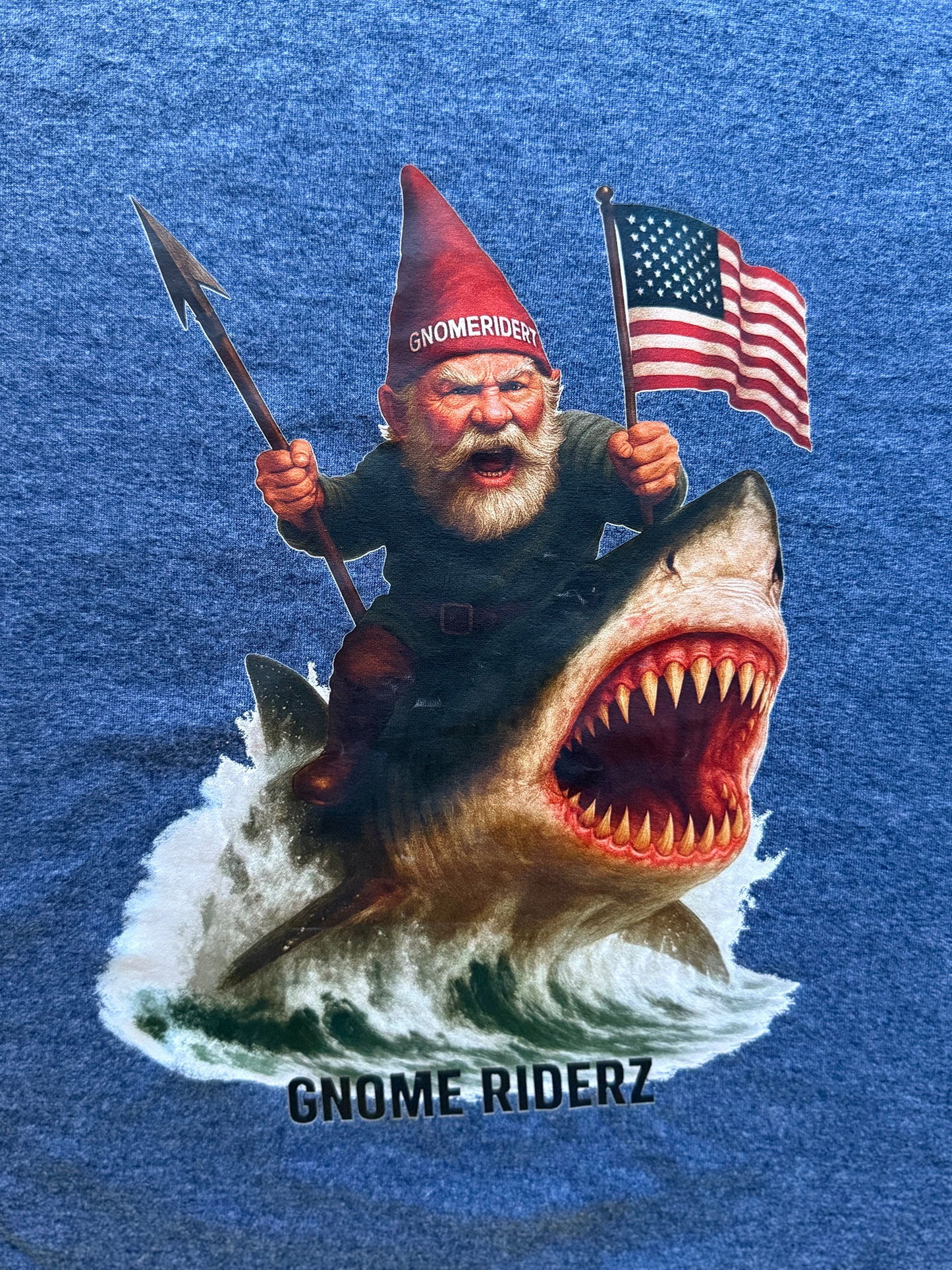 The Gnome Shark