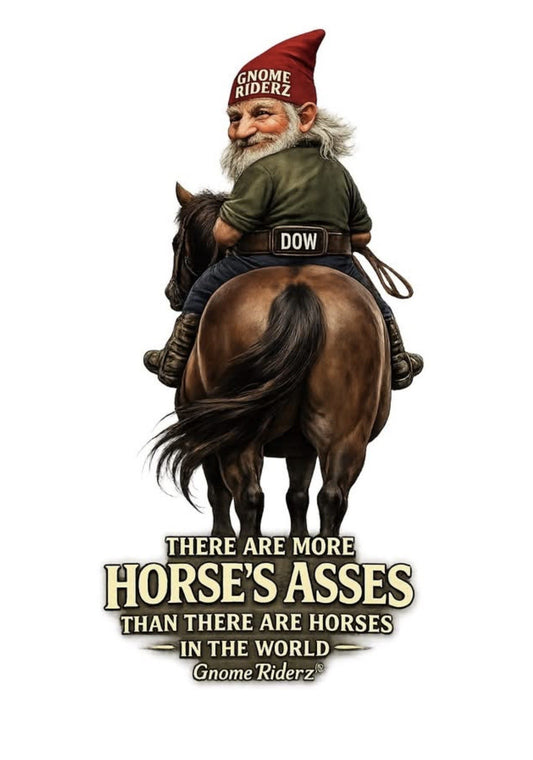 The Gnome There Are More Horses'